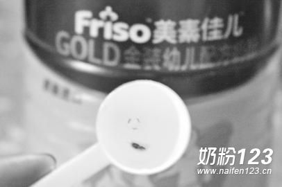 美素佳儿奶粉喝出小干虫 美素佳儿奶粉喝出小干虫