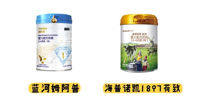 蓝河老总澳优