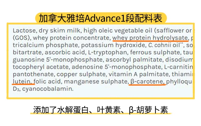 加拿大雅培Advance1段配料表 加拿大雅培Advance1段配料表