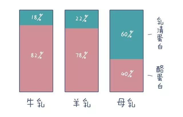 酪蛋白比例 酪蛋白比例
